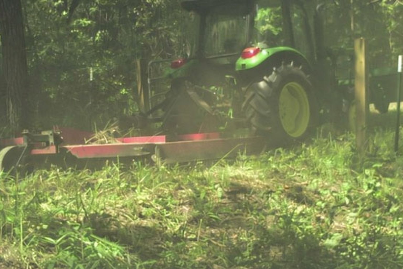 Grüner Traktor mit rotem Mähwerk bei der Arbeit im bewaldeten Gebiet.
